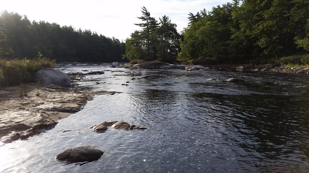 Roseway River Cottages Shelburne Esterno foto