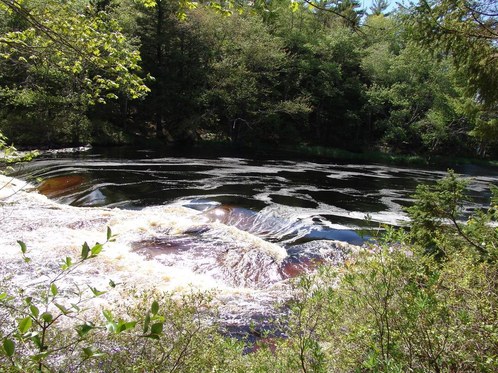 Roseway River Cottages Shelburne Esterno foto
