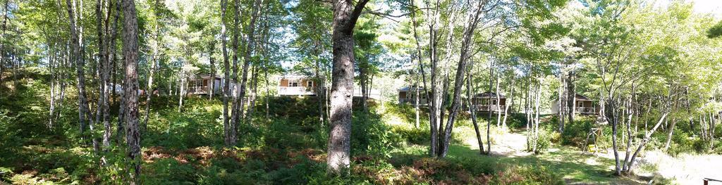 Roseway River Cottages Shelburne Esterno foto
