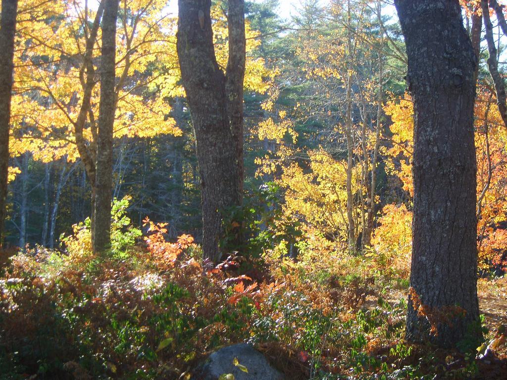 Roseway River Cottages Shelburne Esterno foto