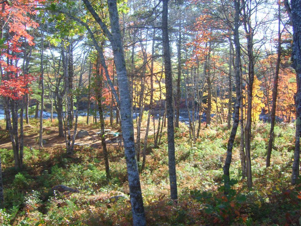 Roseway River Cottages Shelburne Esterno foto