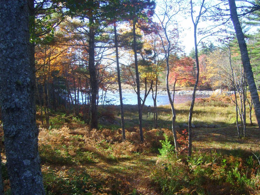 Roseway River Cottages Shelburne Esterno foto