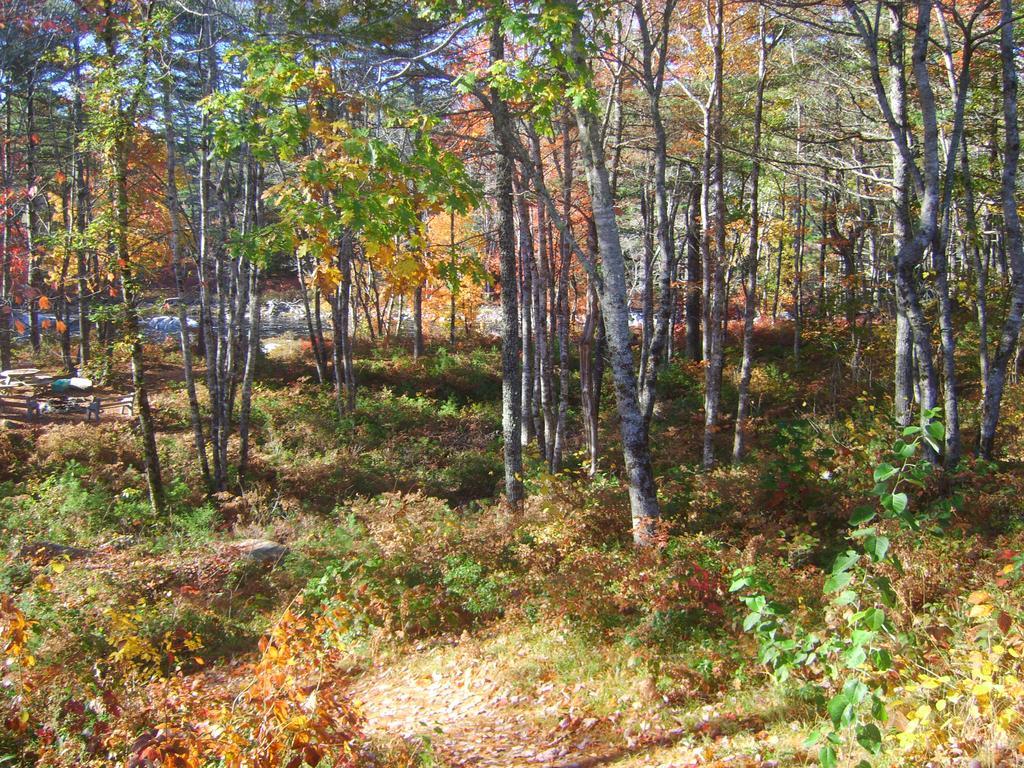 Roseway River Cottages Shelburne Esterno foto