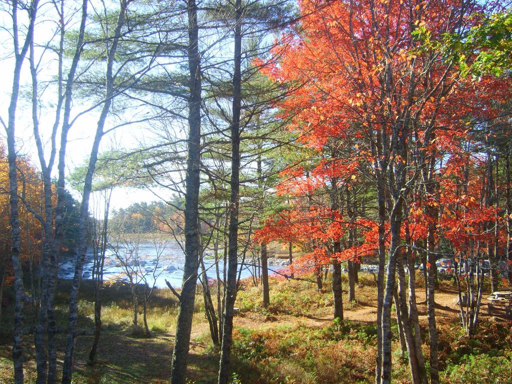 Roseway River Cottages Shelburne Esterno foto