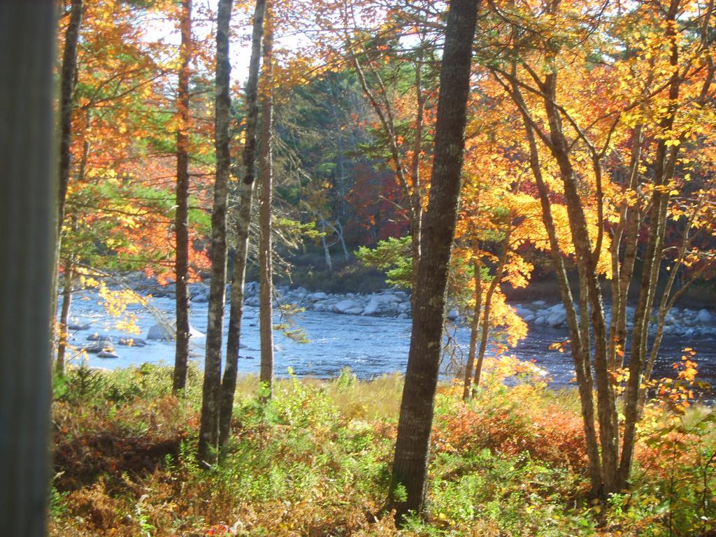 Roseway River Cottages Shelburne Esterno foto