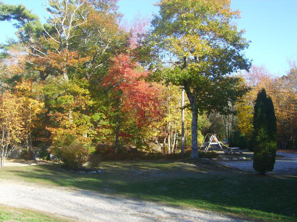 Roseway River Cottages Shelburne Esterno foto