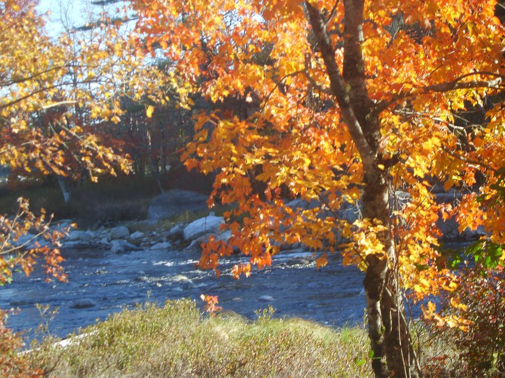 Roseway River Cottages Shelburne Esterno foto