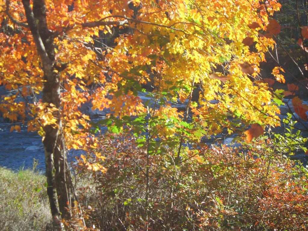 Roseway River Cottages Shelburne Esterno foto