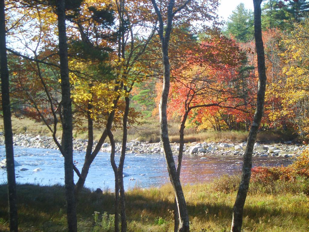 Roseway River Cottages Shelburne Esterno foto