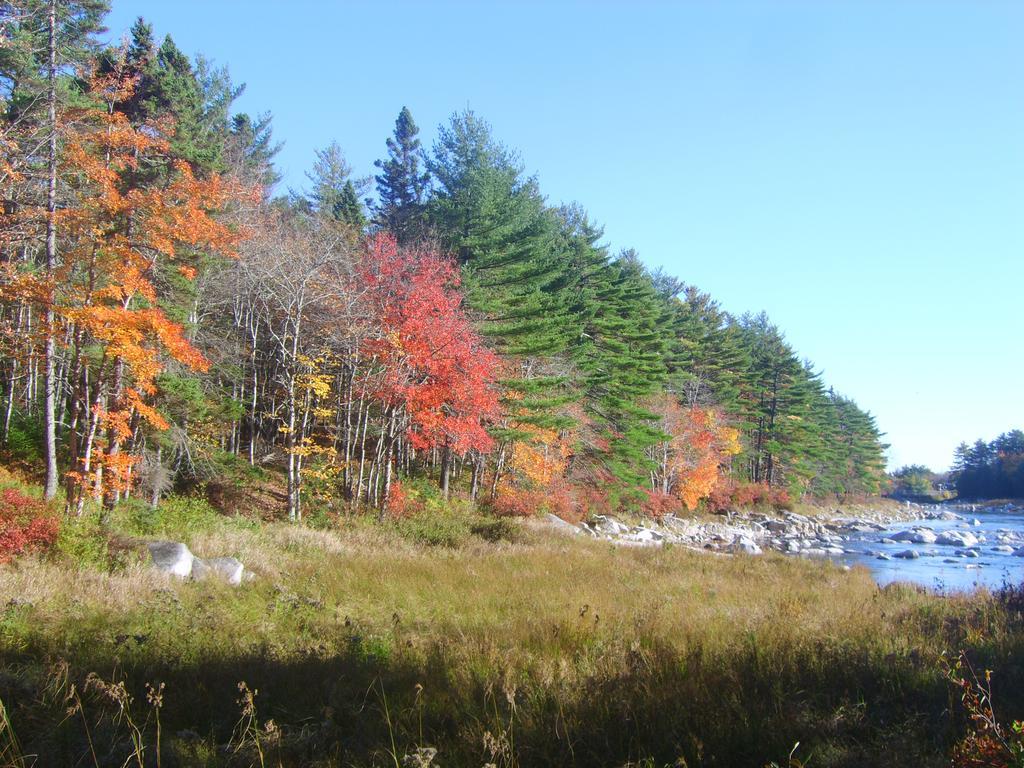 Roseway River Cottages Shelburne Esterno foto