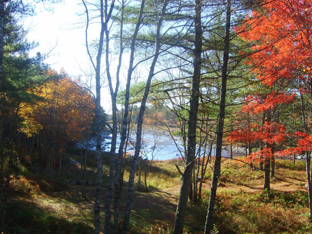 Roseway River Cottages Shelburne Esterno foto